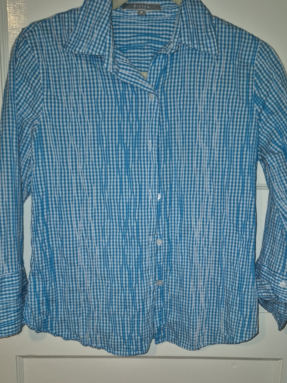 Light Blue Gingham Button-Front Blouse by